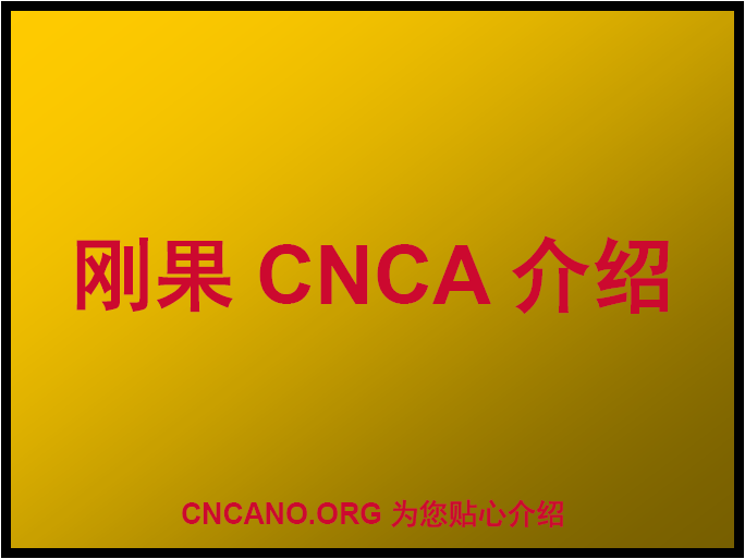 刚果CNCA介绍
