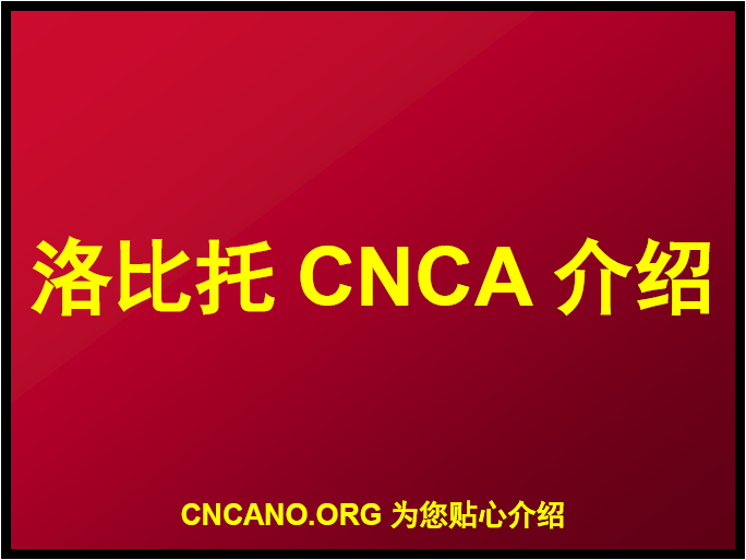 洛比托CNCA货物跟踪单介绍